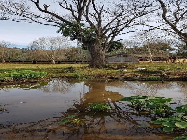 #1 - Chácara para Venda em Coronel Freitas - SC - 3