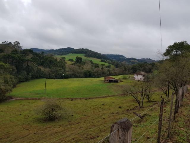 #90 - Chácara para Venda em Cordilheira Alta - SC - 2