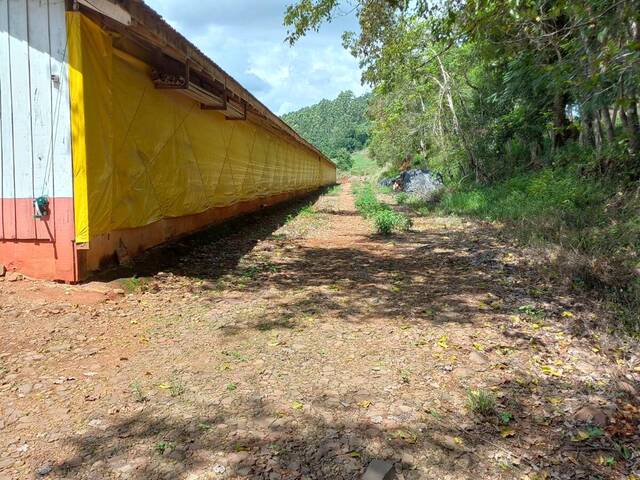 #162 - Chácara para Venda em Cordilheira Alta - SC - 1