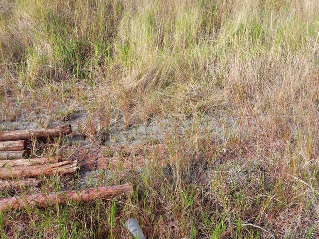 #166 - Terreno para Venda em Chapecó - SC - 2