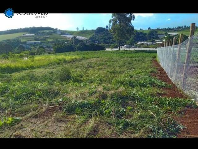 #272 - Terreno para Venda em Chapecó - SC - 3