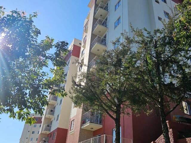 #295 - Apartamento para Venda em Chapecó - SC - 1